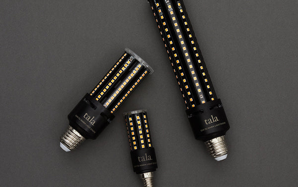 Introducing Light Engine | Journal | Tala – Tala US