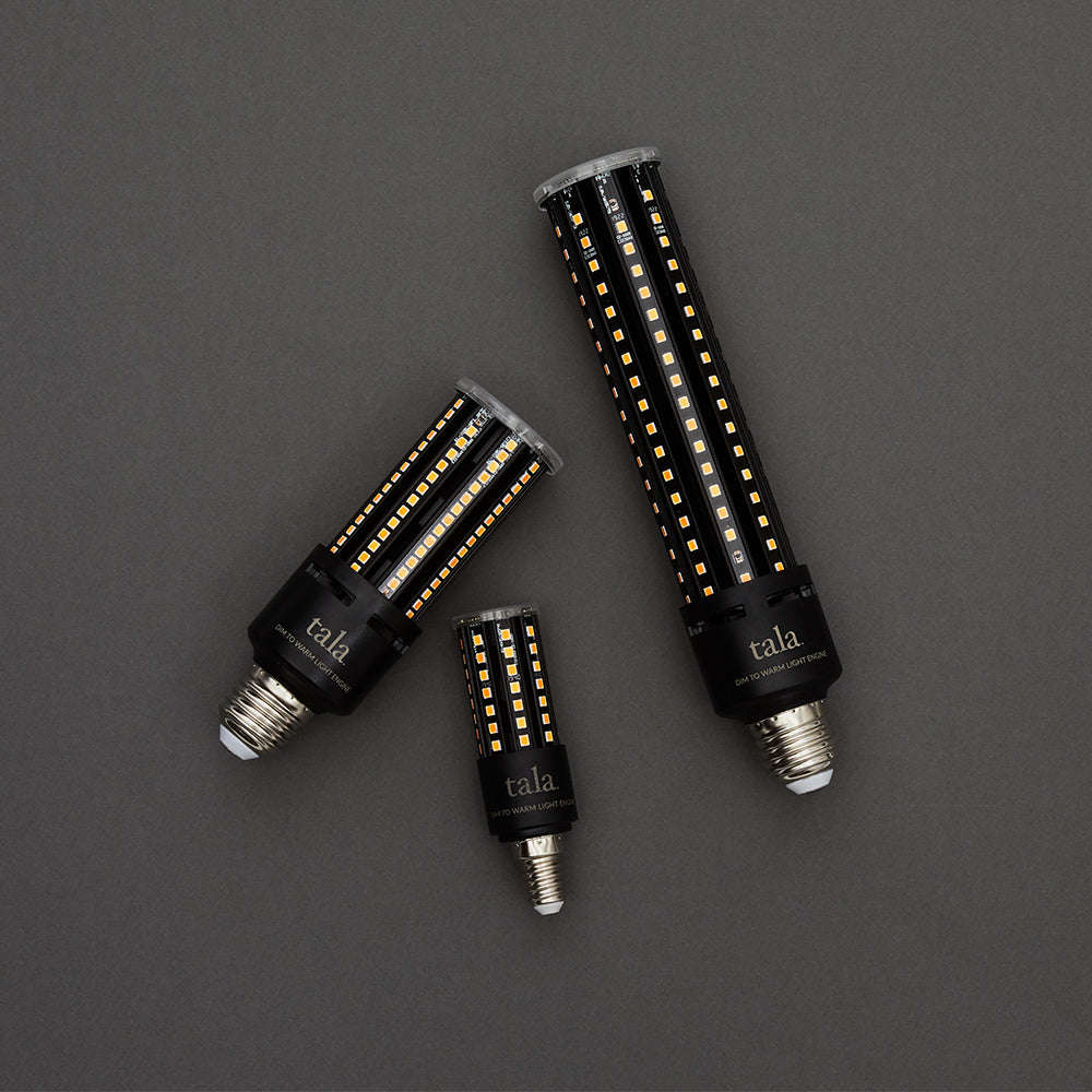 Introducing Light Engine | Journal | Tala – Tala US