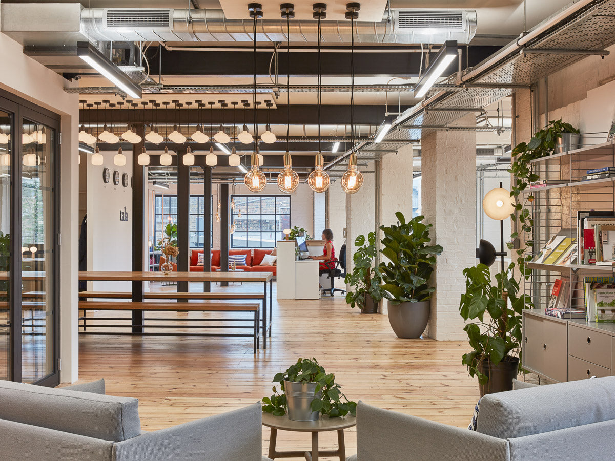 Tala Studios steps out into the light