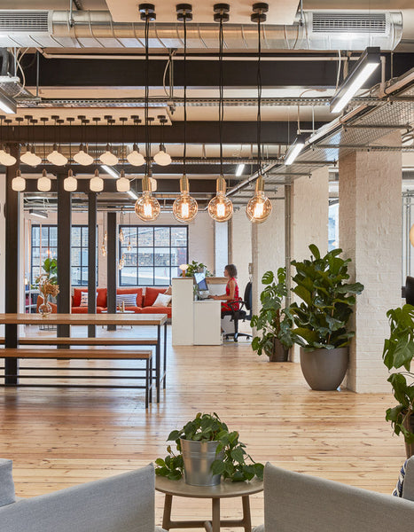 Tala Studios steps out into the light