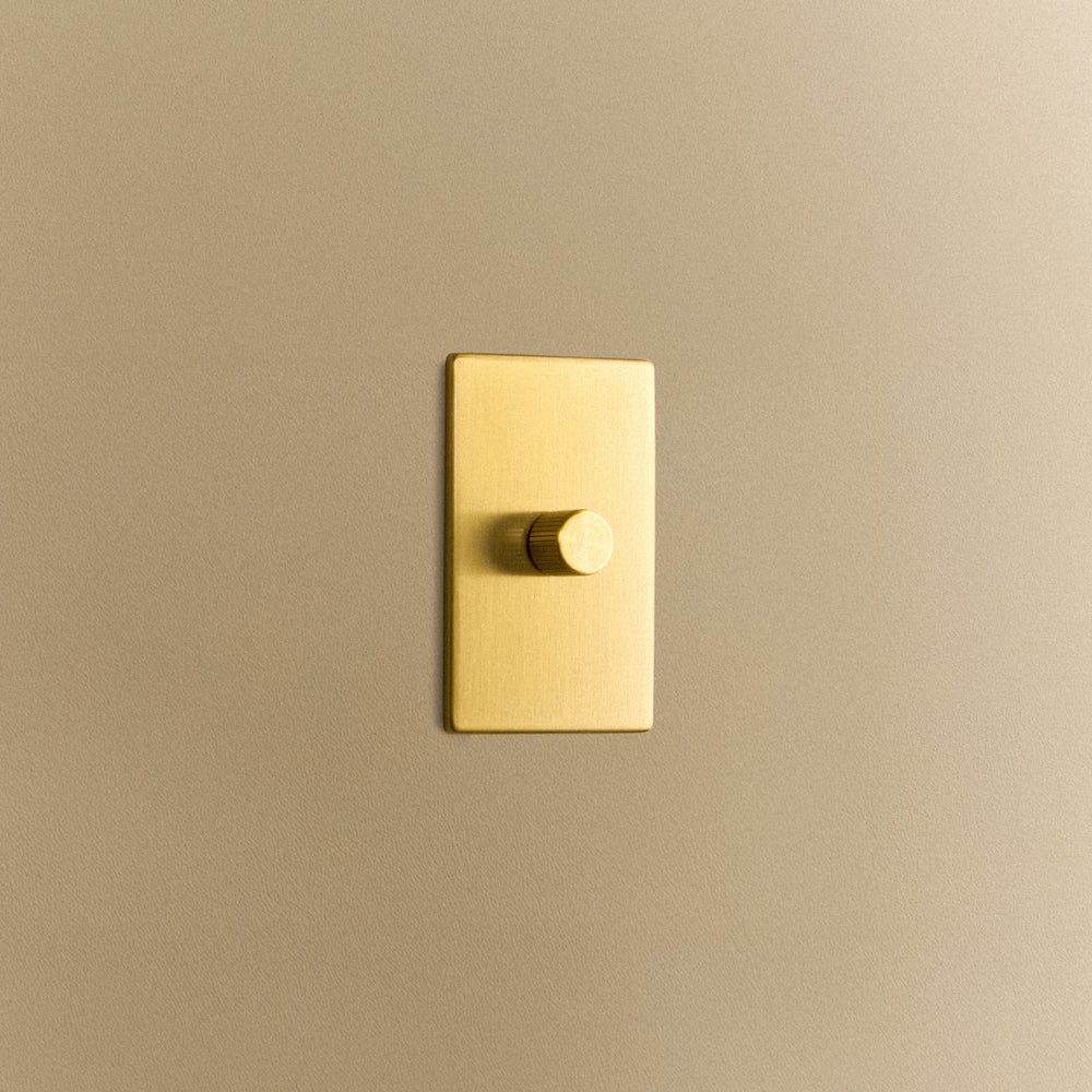 Brass Dimmer on Wall