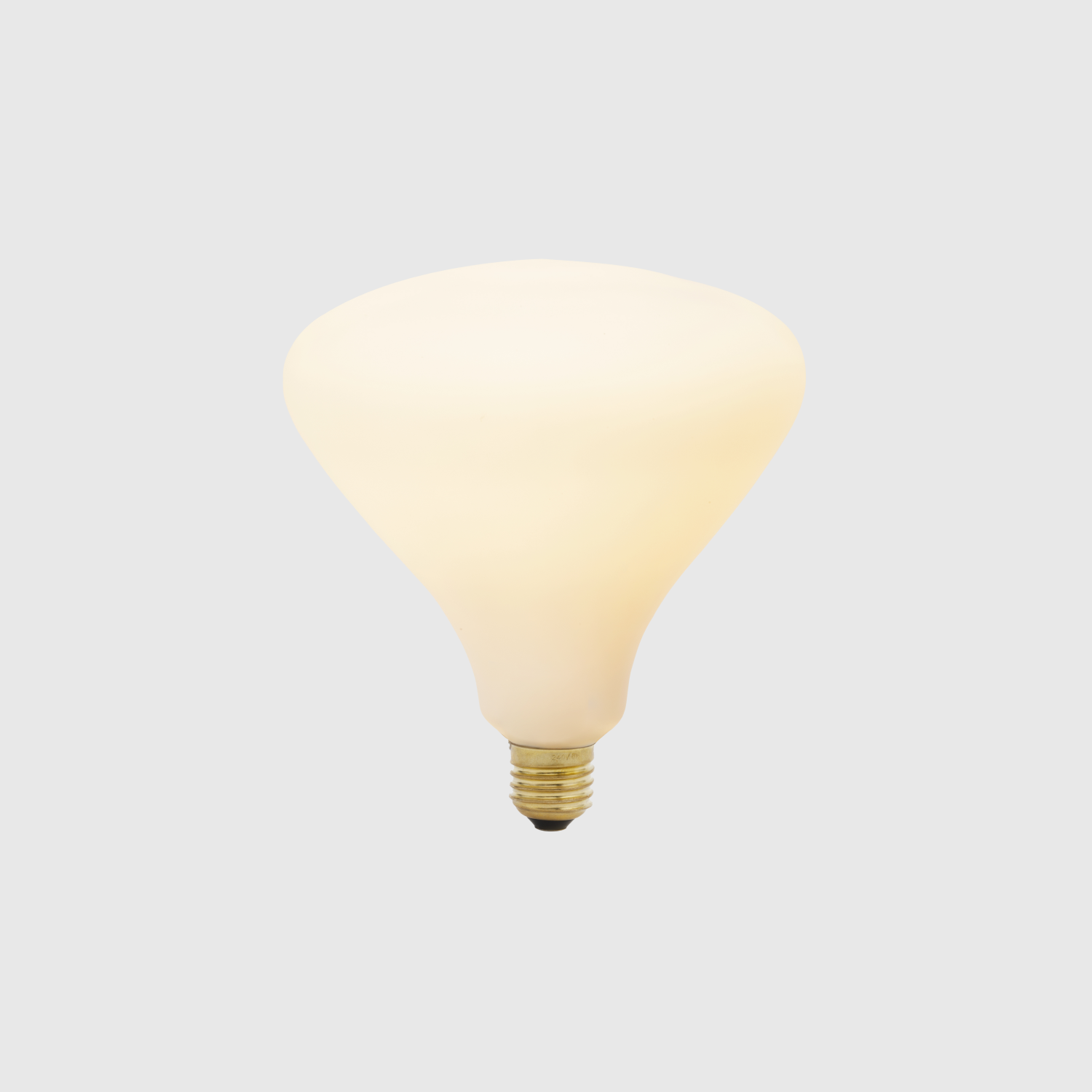 Noma Bulb - Thumbnail 5