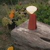 Mantle Portable Lamp in Claycourt Orange - video