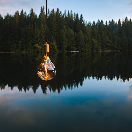 Tala sustainable products made from responsibly sourced, recyclable materials for eco-conscious design