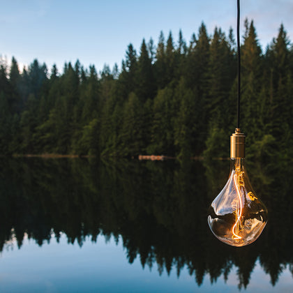 Tala Voronoi Brass Pendant Light with a lake at the background.